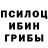 Галлюциногенные грибы мицелий Andika Nanda