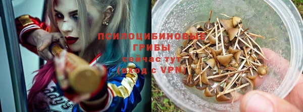 mdma Новозыбков