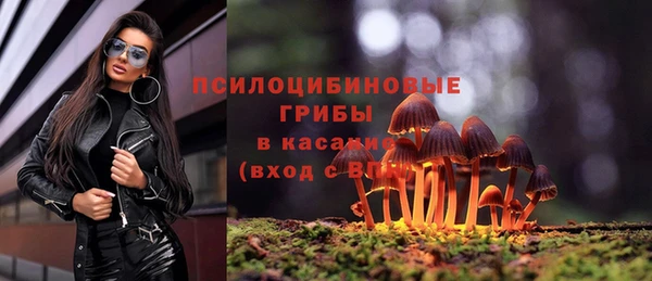 таблы Новодвинск