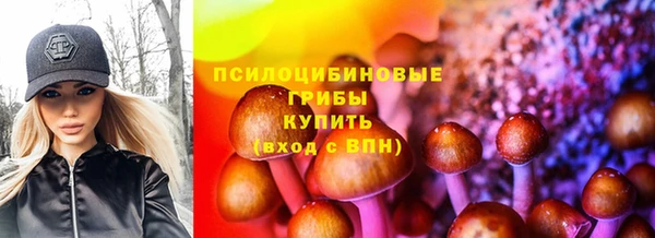 крисы Нефтегорск