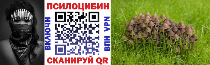Псилоцибиновые грибы GOLDEN TEACHER  Майский 